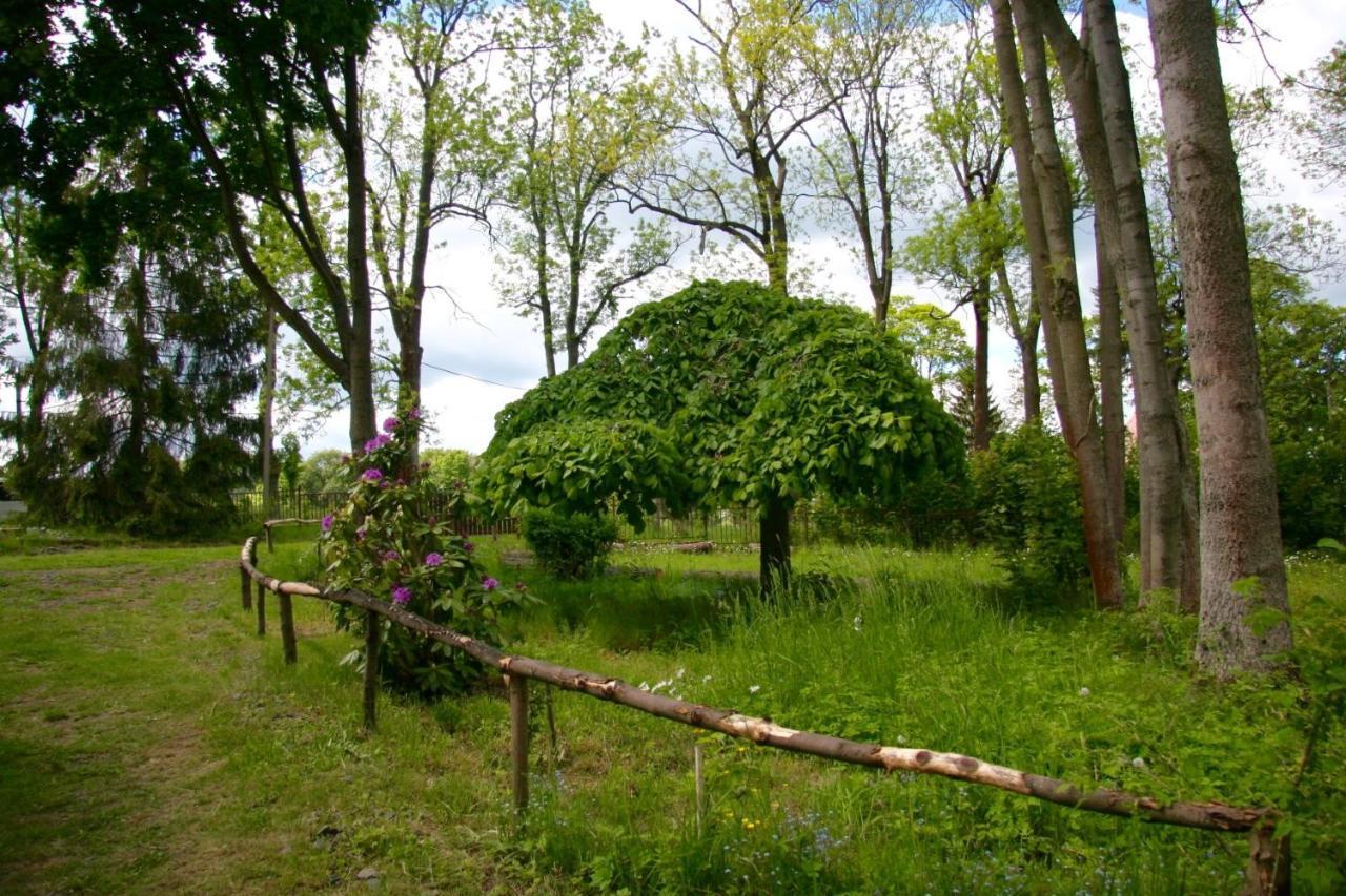 Villa Sunshine / Slunecna Vila Krasna Lipa Exterior foto