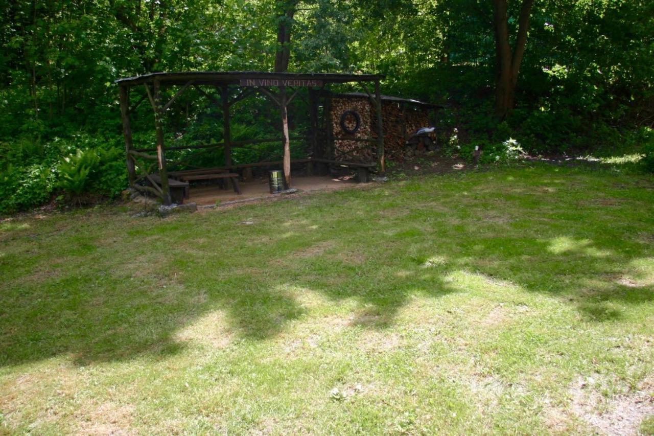 Villa Sunshine / Slunecna Vila Krasna Lipa Exterior foto